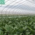Import Agriculture Poly Film green house from China