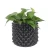Import Air Pruning Pots Plant Growing Control Container Tree Air Prune Plant Root Fast Growth Container Pot from China