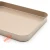 Import Amazon 10 Inch Non-stick Gold Rectangle Baking Pan from China