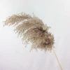 Amazon Top Seller Decoration Dried Flowers Brown Pampas Grass fluffy Pampas Grass reed For Home Decor