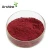 Import APIs Medicine Cranberry Extract Powder,Natural cranberry extract from China