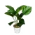 Import Artificial Plants Bonsai Plastic Simulation Tree Desktop decoration greeny plant from China