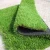 Import Asher 20MM Straight Curve Grass Reliable long life span good price in guangzhou from China