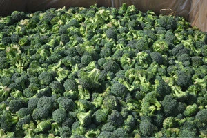 Australian Broccoli - Fresh
