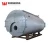 Automatic 10 TON Diesel Oil Gas Fired Steam Boiler for Food Industry
