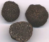 Autumn truffle iran black truffles for sale fresh desert truffles 5~7cm