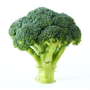 Best Fresh Broccoli /Fresh Green Brocolli/Frozen fresh broccoli