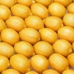 best grade bulk lime fruit exports price