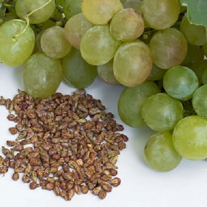 BEST 100% PURE GRAPE SEED OIL FOR COSMETIC AND COOKING OIL