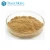 Import Best quality 10:1 cactus plant extract from China