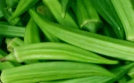 Best Quality Okra fresh Okra