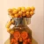 Best Selling Auto Feed Fresh Orange Juicer Machine Lemon Extractor A-2
