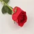 Import Best-selling Red Rose Flowers Fresh Cut Flowers Processing Type from China