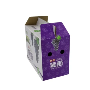 Biodegradable Board Paper Boxes Container Paper Boxes Fruits Packaging