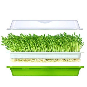 BPA Free Soil-Free Wheat Grass Grower Bean Seed Sprouter Tray with Lid
