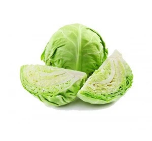 BT Foods Export Oriented 100% Fresh Green Cabbage