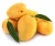 Import Bulk Alphonso Mangoes Supplier from USA