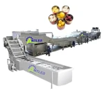 Canned Pineapple in Syrup Product Line Pineapple Slices Fruit Canning Machine