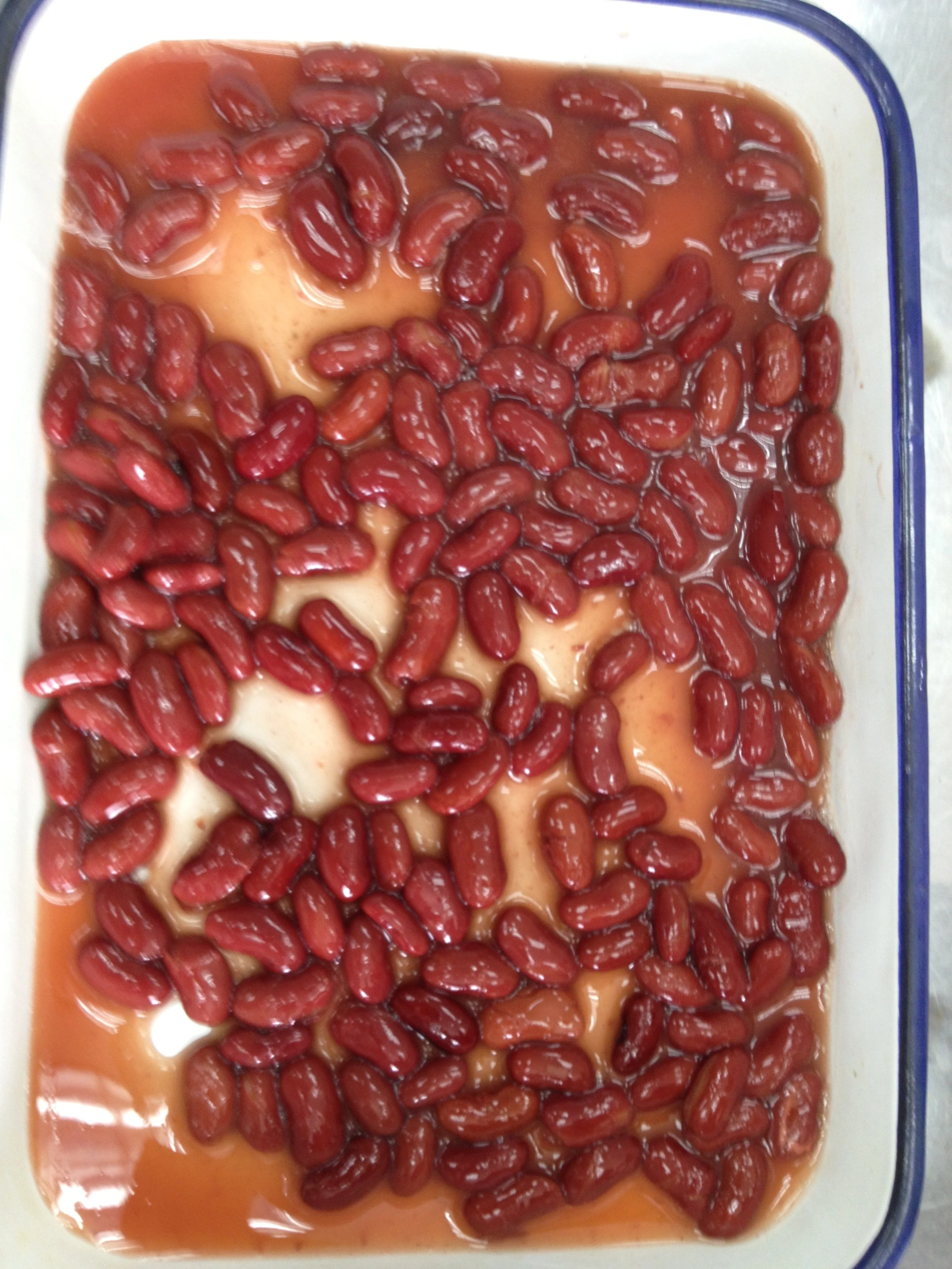 Canned Red Kidney Bean in Brine from factory directly