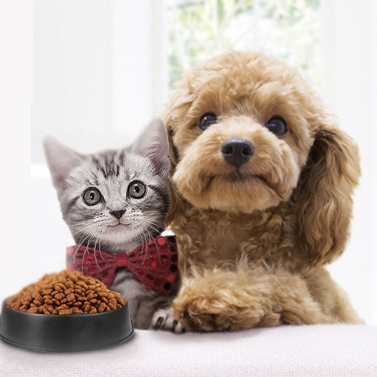 Buy Cat Main Food Into Young Cats General Cat Food Wholesale Cat Food