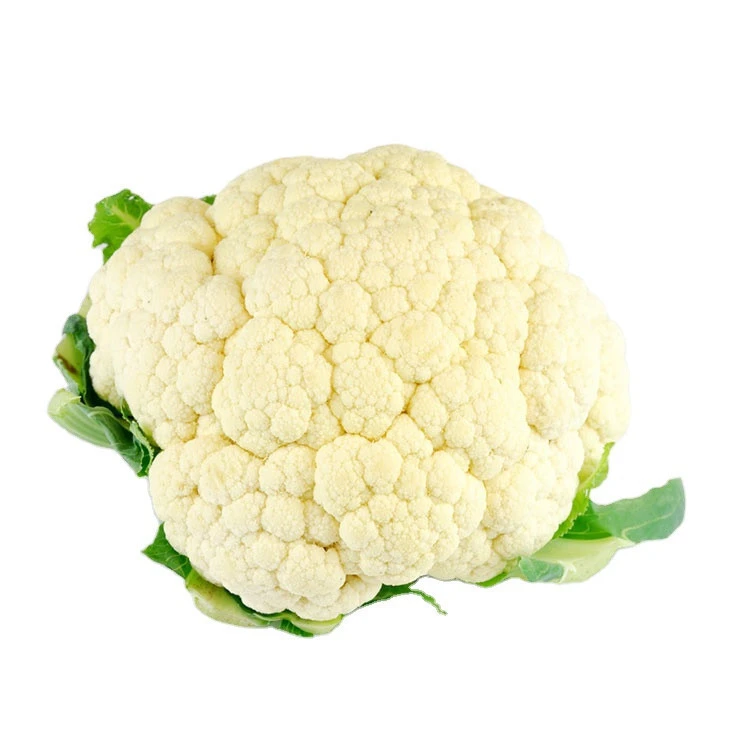 Cauliflower flour  Fresh Green leaf Vegetables Healthy Cauliflower