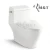 Import Chaozhou factory supply best water saving dual flush tall washdown one piece toilet for handicapped from China