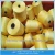 Import Cheapest 100% Polyester Spun Yarn / Spun Polyester Yarn from China