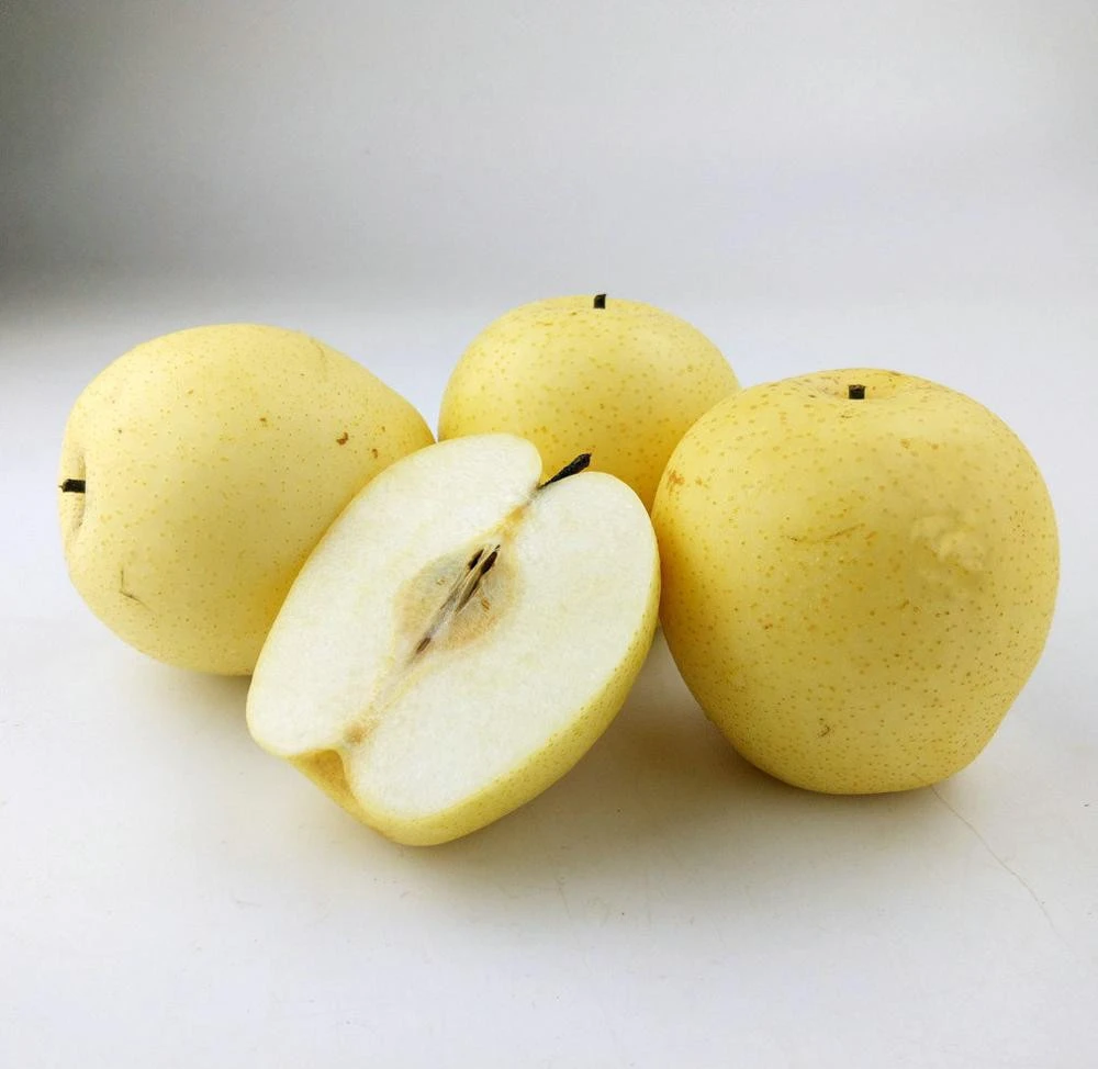 china crispy golden pear