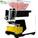 China manufacturer mini peanut oil press machine