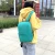 Import China waterproof bag travel lightweight polyester foldable backpack from China