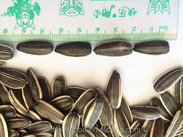 Chinese price of sunflower seeds/sunflower seeds sale /sunflower seeds for planting