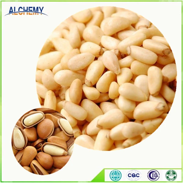 Chinese wholesale dried Pine nuts in bulk, good price