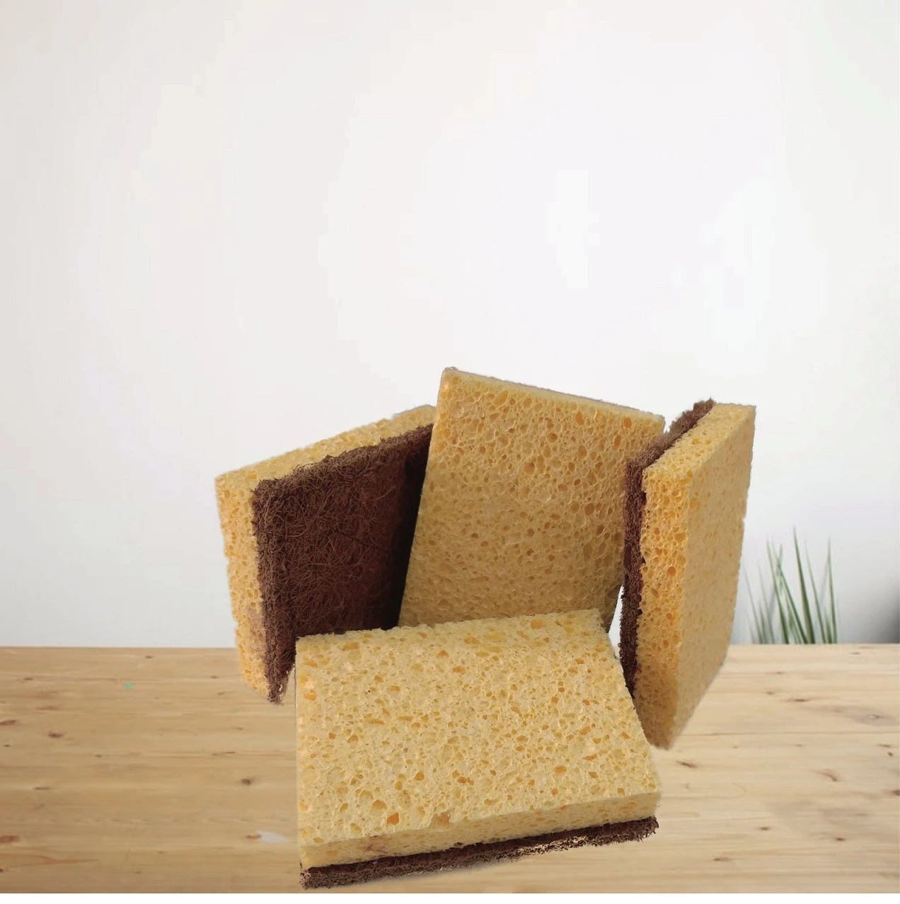 Kitchen Sponges With Abrasive Scourer