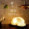 Colorful Home Decorative Wooden Rechargeable Reading Lamp Folding Mini LED Book Light with Speaker