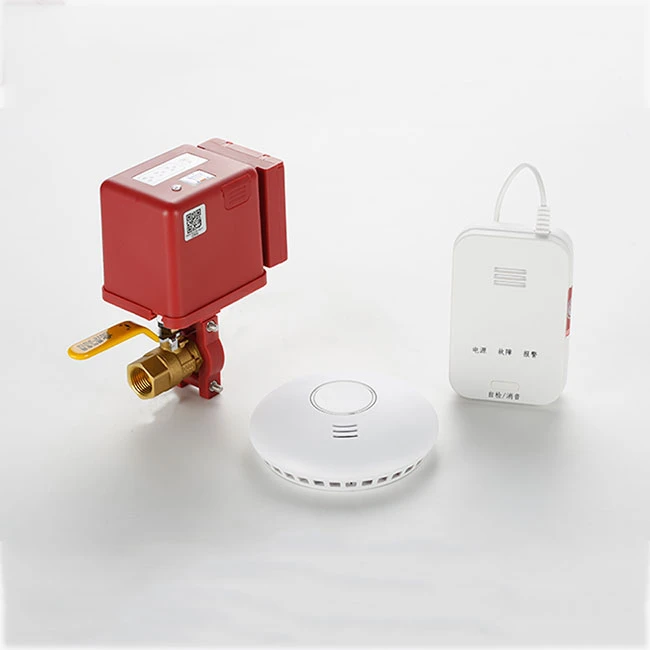 Combined intelligent gas safety valve