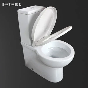 Cost Price Dimension Dual Flush Push Button Factory Floor Mounted Glaze Two Piece Toilet Pan Design