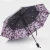 Import Creative blue umbrella dual - use folding sunshade and sun protection umbrella from China
