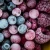 Import Cryogenic Deep Freezing Processed Premium Grade Frozen Preserved Fruit from Ukraine