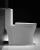 Import cUPC/CSA Approved American & Canadian Siphonic Bathroom One Piece Toilets Bowl from China