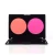 Import custom 2 colors high pigment vegan cheek makeup blush powder palette from China