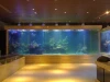 Custom Large acrylic fish tank aquarium