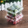 Custom Packaging Food Grade PET Disposable Plastic Fruit Container/Salad Boxes Low Price