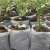 Import Custom size biodegradable seedling non woven fabric for agriculture from China