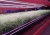 Import Customized Microgreen Propagation Trays 1020 Seed Starting Germination Seedling Trays for Garden Nursery from China