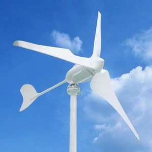 DC 12v 24v 48v power 300w 600w 800w 1kw 2kw 3kw small wind turbine home use marine roof