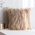 Decorative New Luxury Series Style Faux Fur Throw Pillow Case Cushion Cover for Sofa Bedroom Car
