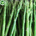 Defrost Frozen Fresh Green Asparagus For Sale
