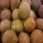 Delicious Fresh Coconut