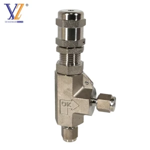 DIN ISO ferrule End 1.4408 Stainless Steel Pressure Release Valve Hydrogen Valve Proportional Relief Valves