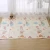 Import Double Sided Toy Large XPE Cartoon Pattern Foldable Floor Pad Carpet from China